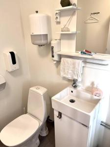 a white bathroom with a toilet and a sink at Cozy miniroom A in Åmot
