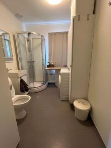 a bathroom with two toilets and a shower at Cozy miniroom A in Åmot