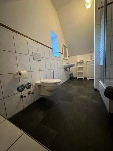 a bathroom with a toilet and a blue window at Ferienwohnung FENJA in Bonerath