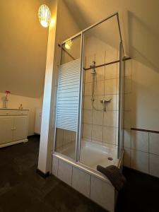 a bathroom with a shower with a glass enclosure at Ferienwohnung FENJA in Bonerath +14 photos