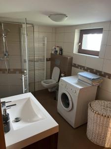 a bathroom with a washing machine and a sink at Chata Matej in Námestovo