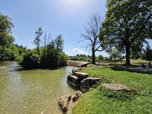 a river with some rocks in the water at Gîte le Cham'Oye in Oye-et-Pallet