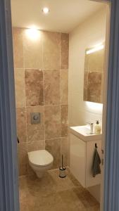 a bathroom with a toilet and a sink and a mirror at Maison Bohème Vesubie in La Bollène-Vésubie