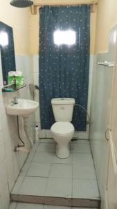 ein Bad mit einem WC und einem Waschbecken in der Unterkunft Julie-Appart in Brazzaville
