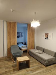 Centar Novi Sad-Apartman No 1 في نوفي ساد: غرفة معيشة مع أريكة وكرسي