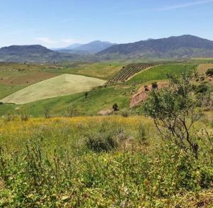 a field of grass with mountains in the background at Casa Ceratonia in Alora