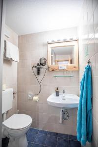 a bathroom with a toilet and a sink at Pension "Zur Lohgerberei" in Bad Langensalza