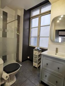 een badkamer met een toilet, een wastafel en een spiegel bij Appart La Gabare - face Loire Quai du Châtelet in Orléans