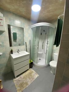 a bathroom with a shower and a sink and a toilet at La casa de ensueño in Yeles