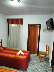 a bedroom with a bed and a chair and a television at Pension Rioja in Quinto