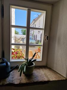 a window in a room with a potted plant at Ferienhaus "Entenhaus" im Gutshaus De La Fontaine in Feilsdorf