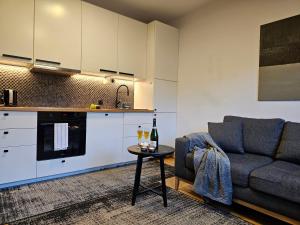 Kuchnia lub aneks kuchenny w obiekcie URBAN APARTMENTS Premium No 3, FREE PRIVATE PARKING, Self CHECK-IN