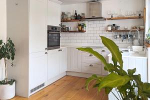 a kitchen with white cabinets and a potted plant at 1 Mint Park Road in Braunton