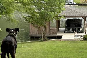 a black dog standing in the grass in front of a house at Lake Sinclair in Eatonton +42 photos