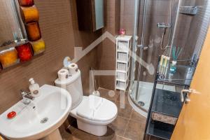 ein Badezimmer mit Toilette, Waschbecken und Dusche in der Unterkunft Loft Arco de los zapatos,Casco histórico Oviedo in Oviedo