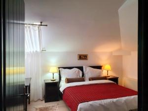 Imagen de la galería de Vila Leonida - RESORT LEONIDA, en Buşteni