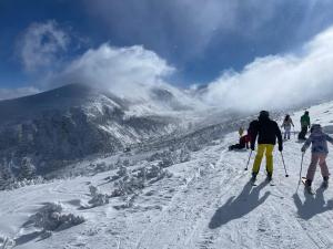 Flora Ski-slope Studio Apartment during the winter