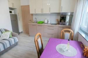 Kuchyň nebo kuchyňský kout v ubytování Apartman Tamburica Vinkovci + 6 fotografií