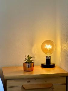 a lamp on a table with a potted plant on it at LES 3 RIVIÈRES - Vue Imprenable & Hyper Centre in Mont-de-Marsan