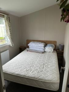 Gallery image of Powys 37 in Borth