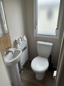 a bathroom with a toilet and a sink and a window at Powys 37 in Borth