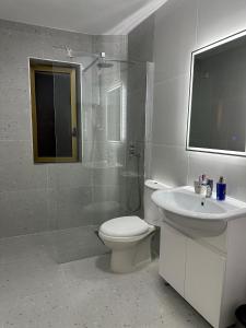La salle de bains est pourvue de toilettes, d'un lavabo et d'une douche. dans l'établissement White apartment, in the center of Tirana, à Tirana