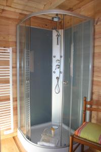 een douche met een glazen wand in een kamer bij Chaledhote in Écurolles