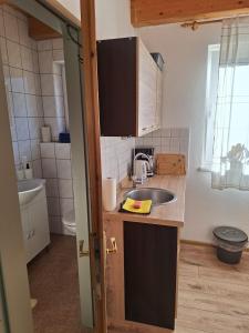 una pequeña cocina con lavabo y aseo en Haus Edelweiss Mölltal, en Flattach