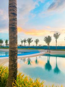 un palmier et une piscine bordée de palmiers dans l'établissement JD Serviced Suite at Azure North Pampanga, à San Fernando
