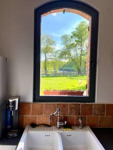 ein Bad mit einem Waschbecken und einem Fenster in der Unterkunft Propriété en Sologne avec étangs in Villemurlin
