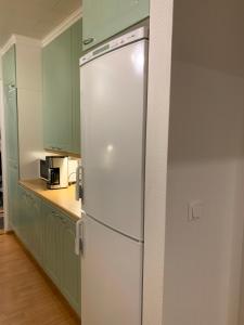 a white refrigerator in a kitchen with green cabinets at Villa Robert in Rovaniemi