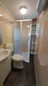 La salle de bains est pourvue d'une douche, de toilettes et d'un lavabo. dans l'établissement RBR 1252 - Beach Resort Kamperland, à Kamperland