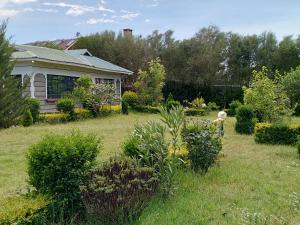 un patio con una casa y algunos arbustos en Kioka gardens - stand alone with wifi and parking, en Nanyuki