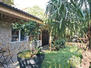 Κήπος έξω από το Stay In Tmisoara