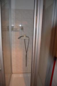 um chuveiro com uma porta de vidro na casa de banho em Ubytování Česká Skalice em Česká Skalice