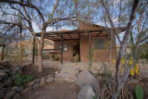 a house with a tree in front of it at Refugio Noche Andina in Vicuña