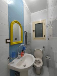 a bathroom with a sink and a toilet and a mirror at Kemet - a private room at Shared apartment For Men only No Ladies allowed غرفة خاصة في شقة مشتركة للرجال فقط ممنوع السيدات in Alexandria