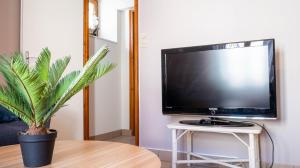 a flat screen tv sitting on a white table with a plant at Le Havre Citadin - Maison de ville à Poitiers in Poitiers