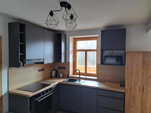 Kuchyň nebo kuchyňský kout v ubytování Horní Planá - Hůrka Apartmán Hannzi