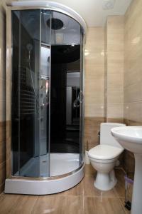La salle de bains est pourvue d'une douche, de toilettes et d'un lavabo. dans l'établissement Diamant Dragobrat, à Dragobrat