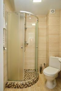 La salle de bains est pourvue d'une cabine de douche et de toilettes. dans l'établissement Diamant Dragobrat, à Dragobrat