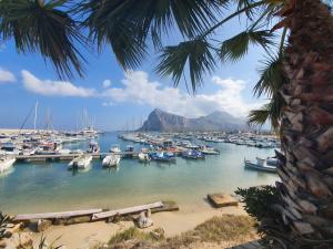 un porto con barche in acqua con una palma di Ciuri Holiday a Trapani