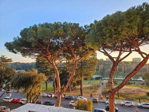 een uitzicht op een parkeerplaats met auto's en bomen bij Eur Laghetto casa vista lago Fattori in Rome