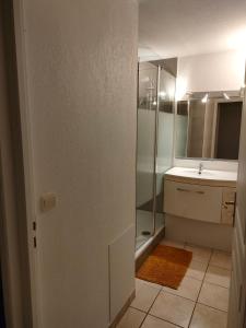 a bathroom with a shower and a sink at appartement en rez-de-chaussée et terrasse sans vis a vis in Canet-en-Roussillon