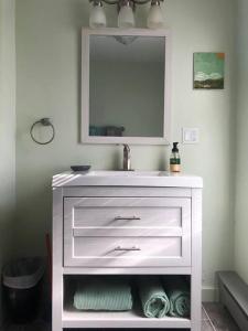 a bathroom with a white sink and a mirror at Panther Mountain Lodge in Phoenicia