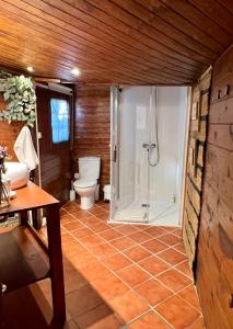 a bathroom with a shower and a toilet at Agroturismo Anziola in Oiartzun