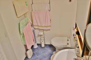 łazienka z toaletą, umywalką i ręcznikami w obiekcie Studio classé 2 étoiles à 5 minutes du centre ville et 10 des Thermes w mieście Amélie-les-Bains-Palalda +22 zdjęcia