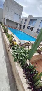 a swimming pool with plants in front of a building at La Posada Hotel y Suites in San Luis Potosí