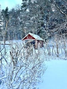 Raftarp - Country side cottage in the woods v zimě