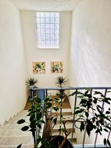 a staircase with potted plants and a window at La Casa di Gió in Centro in Olbia